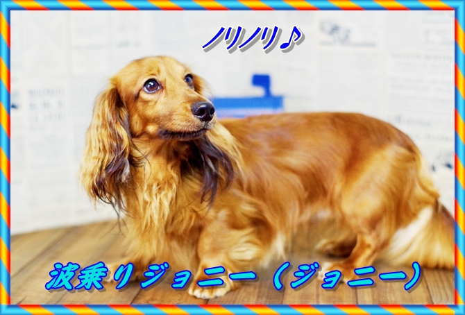 IMG_0991.JPEG - 242,076BYTES