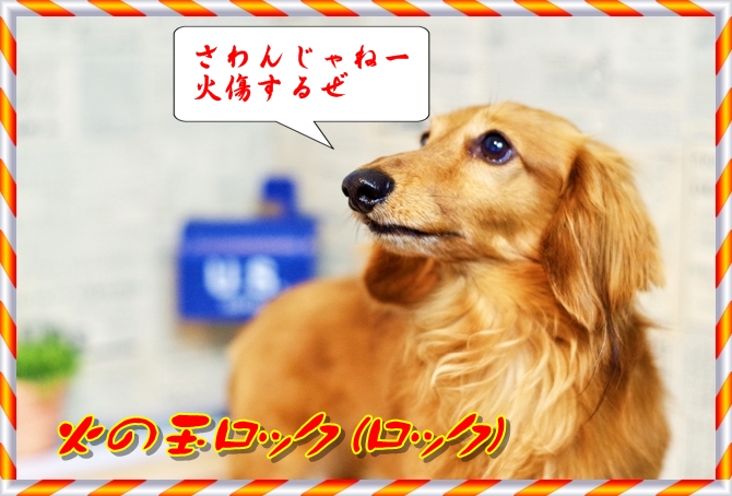 IMG_1023.JPEG - 229,159BYTES