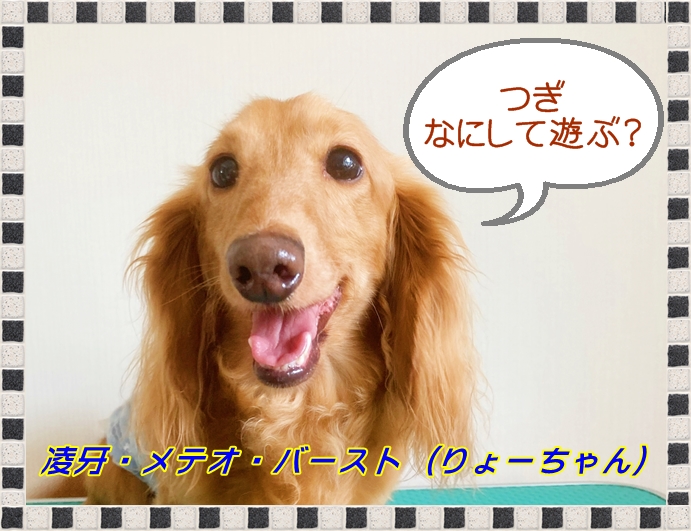 IMG_2083.JPEG - 275,194BYTES