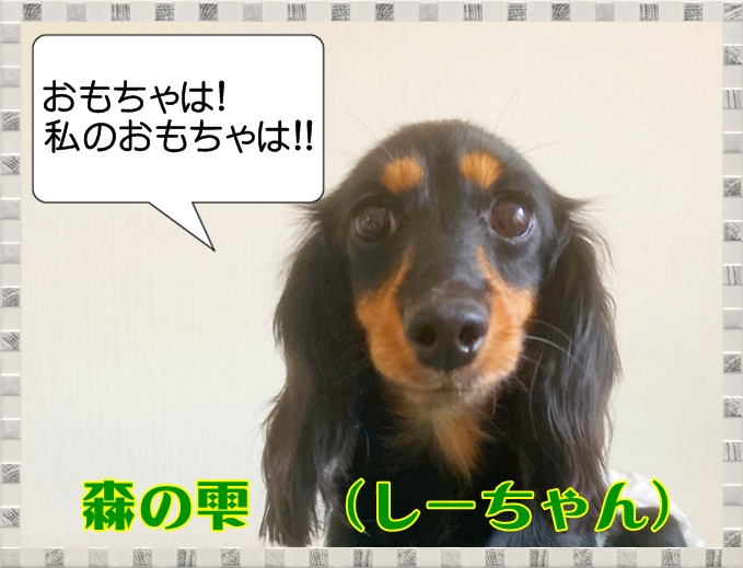 IMG_2136.JPEG - 222,873BYTES