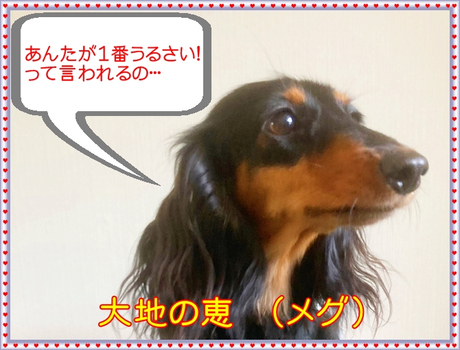 IMG_2172.JPEG - 251,442BYTES