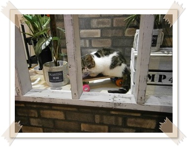 ROOM2.JPG - 45,973BYTES