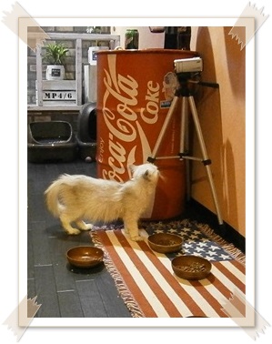 ROOM3.JPG - 48,981BYTES