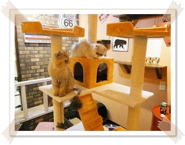 ROOM4.JPG - 48,763BYTES