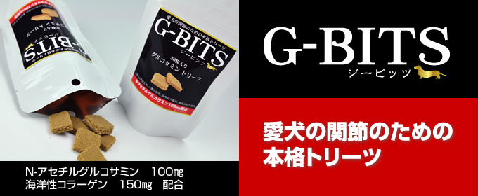 GBITS_MAIN.JPG - 73,988BYTES