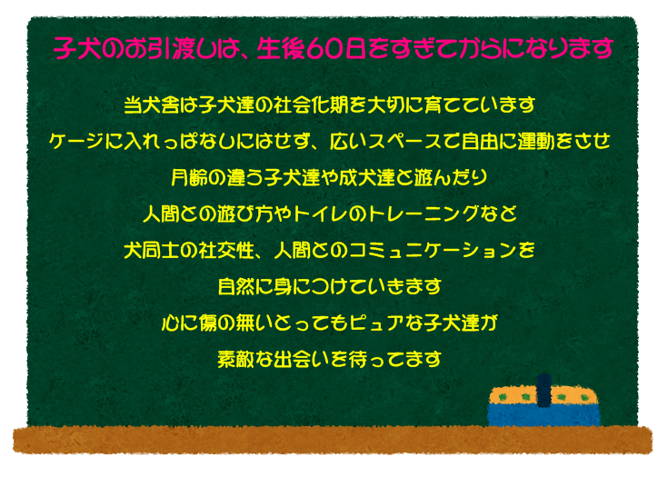 KOKUBAN-PUPPY.PNG - 389,899BYTES