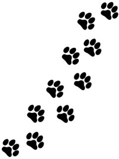 PAD2.PNG - 19,551BYTES