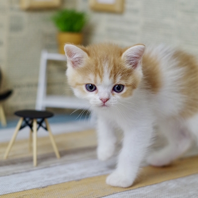 IMG_1553.JPEG - 96,804BYTES